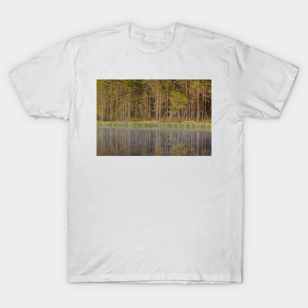 Forest reflecting to small lake at summer morning T-Shirt by Juhku